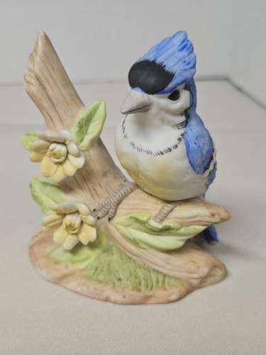 Vintage blue jay - jay, bird