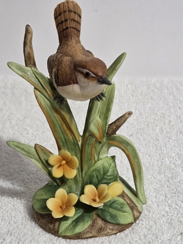 Beautiful carolina wren - beautiful,