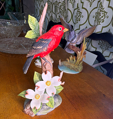 Andrea scarlet tanager - andrea,