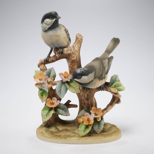 Black capped chickadee - black,