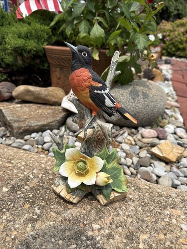 Baltimore oriole bird 9771 - oriole,