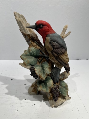 Woodpecker andrea sadek of - by,